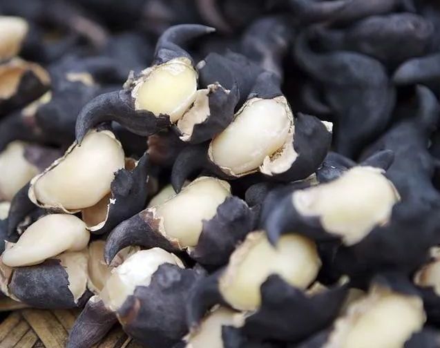 吃起来|假如给你100万,5种“水果”以后只能选一种吃,你选谁