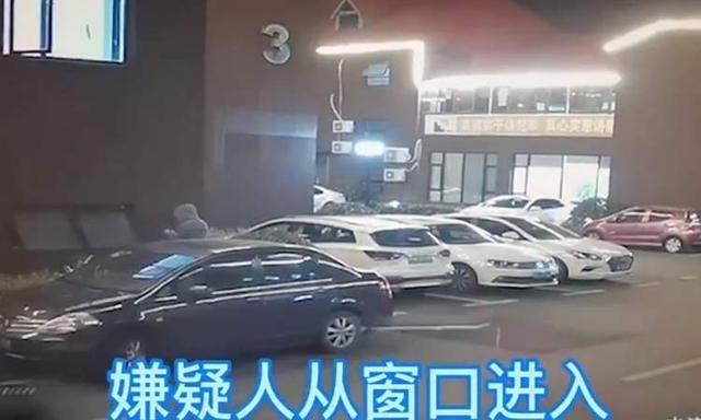  薛某|男子潜入宠物店偷走16只名贵小猫，3只小猫因眼睛受伤化脓死亡