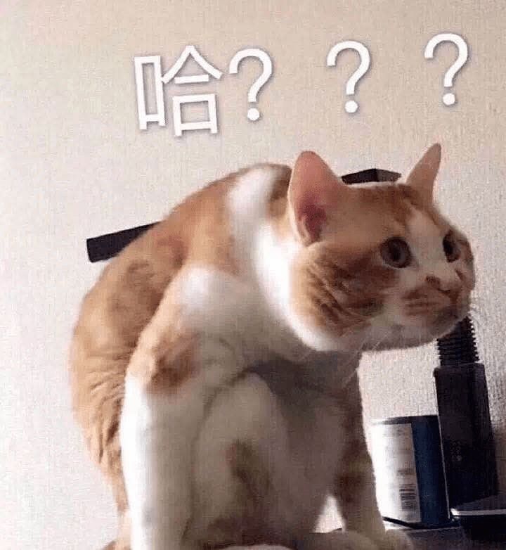 道位|首播破亿姐姐撕逼互怼,跪求加出道位