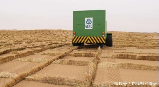 治理|我国养150只“猛兽”来治理沙漠，结果怎么样？网友：佩服发明家