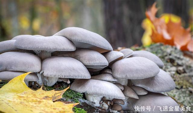 蔬菜焯水|炒菜前这几种蔬菜要焯水,为了家人健康,不要省略这一步