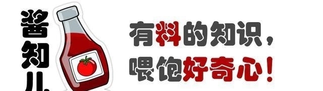幸存者|山本五十六被击落后，寻找他的士兵陆续失踪，幸存者战后吐露真相