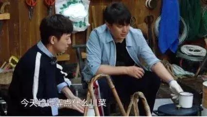  父母|不想打感情牌的谭松韵，在《向往的生活》里“栽了个跟头”