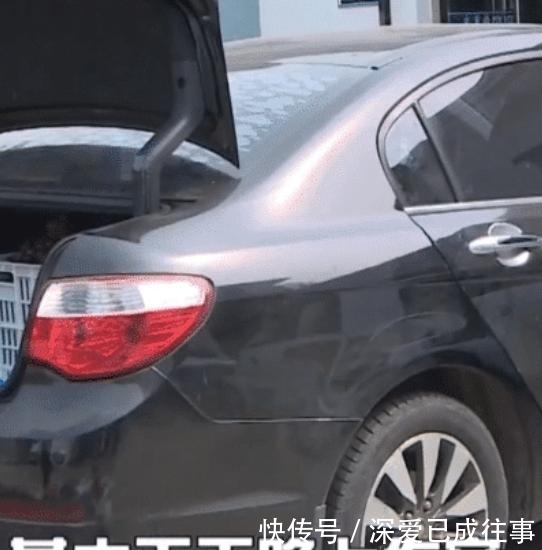 可耻|半夜开车去农家地偷东西，吃不完卖掉月入6000元，行为可耻