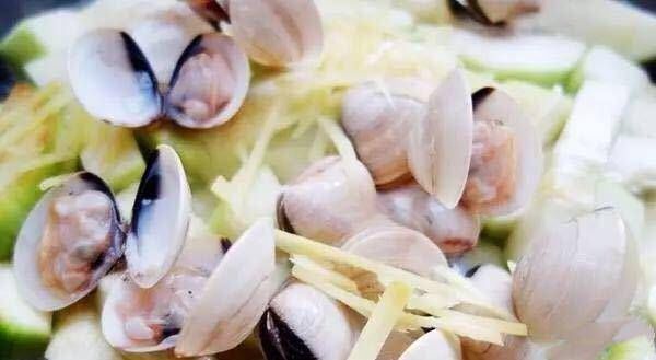 丝瓜|丝瓜跟它炖到一块儿，比鸡汤还鲜美，比参汤还补特别适合夏天吃