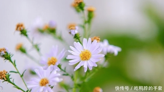 狠心|发脾气时，狠心话张口就来的三个星座