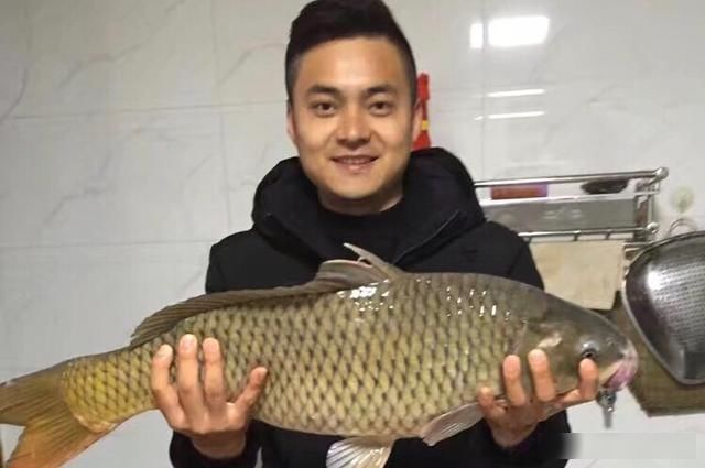 白糖|被大家忽略的一款饵,鲫鲤草鳊青通杀的一款饵,钓友都见过