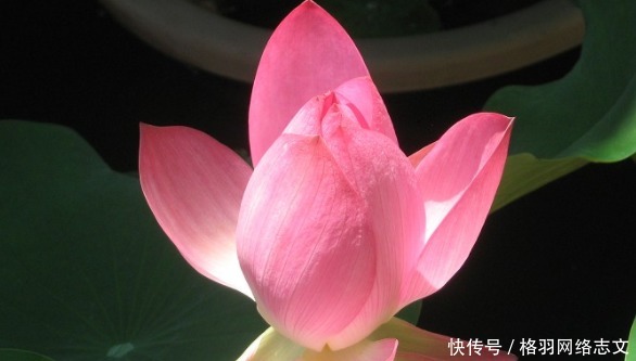 佛祖|佛说:一个人有没有福报,全凭一个字,能做到的人,福报才会来临