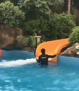  追求|搞笑GIF段子：我相信豪车美女是很多人此生毕生的追求！