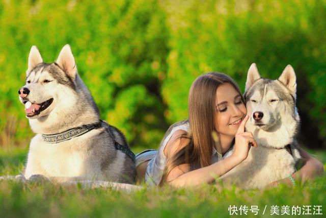 些狗狗|狗狗为什么会出现嫉妒?让狗狗嫉妒的三个原因,你家狗狗属于哪种