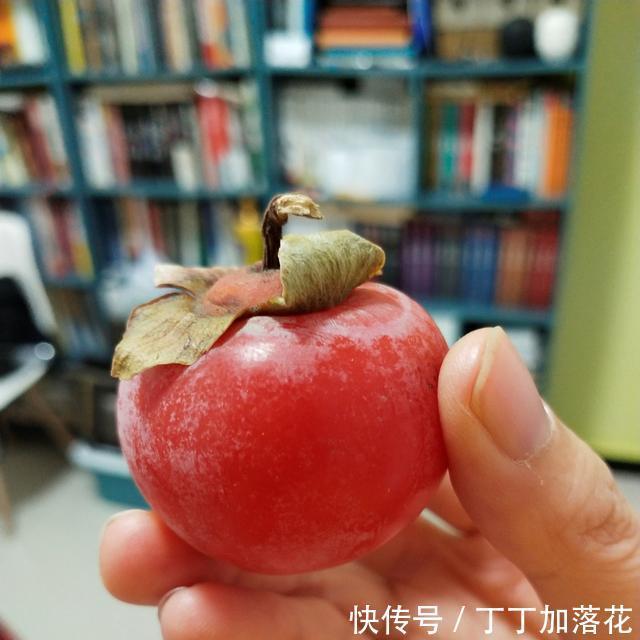 秋天|秋天的水果有哪些与《长安十二时辰》同款的火晶柿子,是好回答
