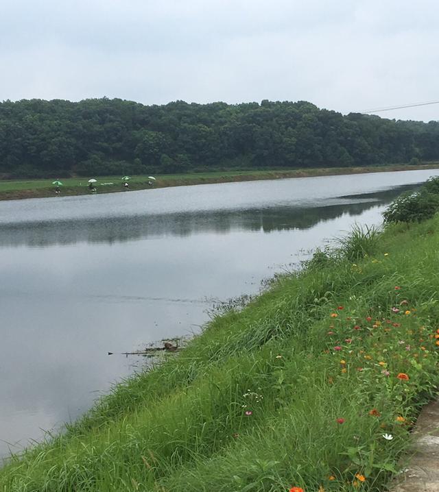 足以|竿梢常指水,足以慰风尘