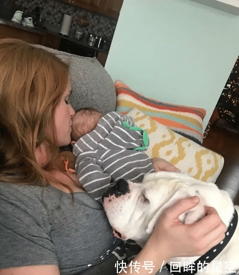  睡觉|婴儿半夜撒娇抱小被子找大狗睡觉，这就是养狗的好处！