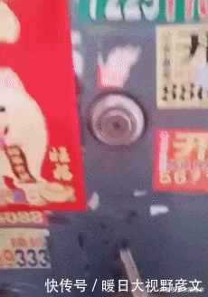 GIF|爆笑GIF: 大哥, 你们公司还缺程序员吗? 不知道俺现在去学, 还来得急不?
