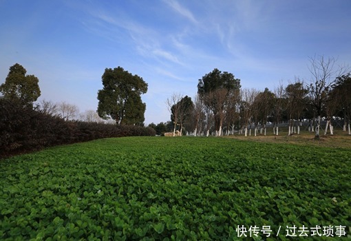 阳澄湖|阳澄湖哪里吃蟹正宗 巴城农家乐真不错