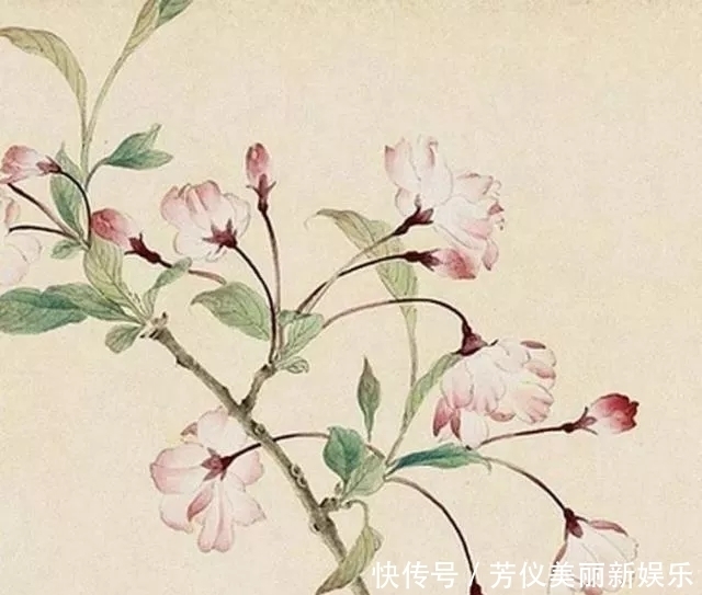 整口|发际线后移的你,不整口鸡汤喝喝?