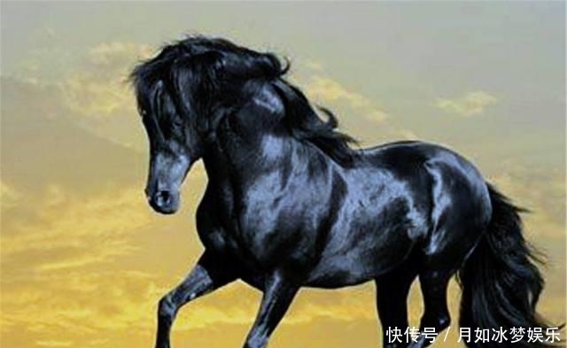 赤兔马|中国的八匹名马, 除了赤兔马, 你还知道其它的吗
