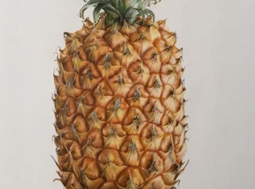菠萝蛋白酶|让人倒下的不是病,是无知!菠萝的两大“禁忌”,别不当回事