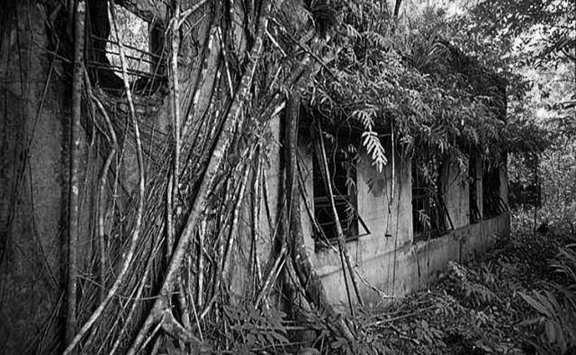 本军队|野人下山偷鱼被抓,警方展开调查发现原来是28年前的二战残兵