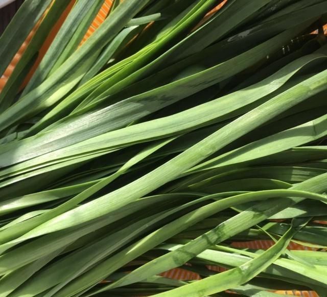  味道|皮薄馅儿大没有褶的韭菜盒子，吃出妈妈的味道