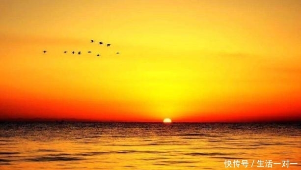 有个|我与秋天有个约定