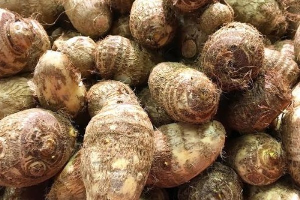  相差|经常吃芋头的人，请记得三种技巧，就不会买到品相差的