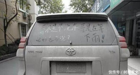 司机|司机因不洗车被扣12分,看到实车后,网友:这不是自找的吗?