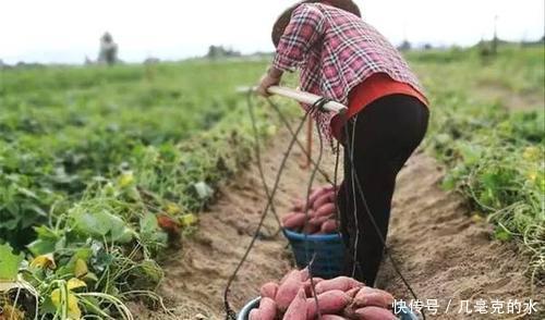 软籽石榴|进入9月份，应该多吃这几种特产美食，好吃营养还不长肉