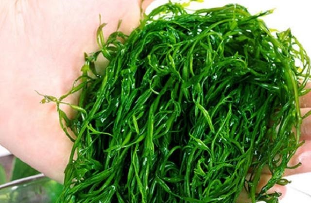 日本|日本人最爱吃的“长寿菜”,我国盛产却没人吃,营养比牛奶还高!