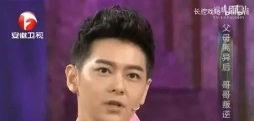  陈若仪|林志颖家的这出八点档