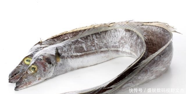 家人|入伏后,遇到这鱼多买几条,补气提鲜,简单几步,上桌家人争着吃