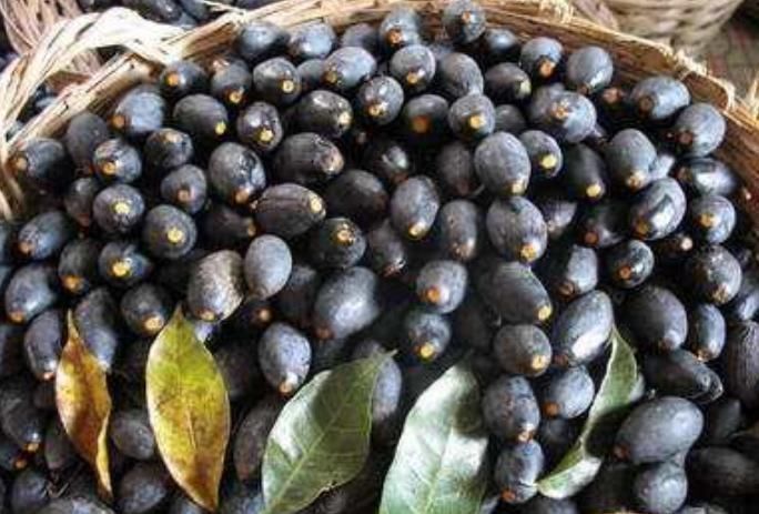 杂交|南方这“杂交水果”,曾5毛一斤卖不动,现50元一斤,成了稀罕货