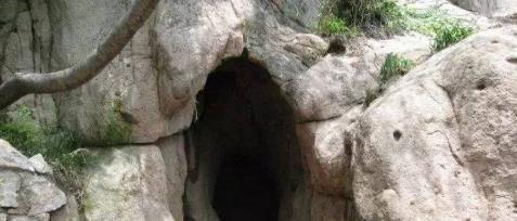  东西|明朝奇人，每天只吃两样东西，不近色荤，活了120岁