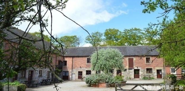 豪华|抠门新郎靠向宾客每人收一千，免费办十万豪华婚礼，新娘哭着答应