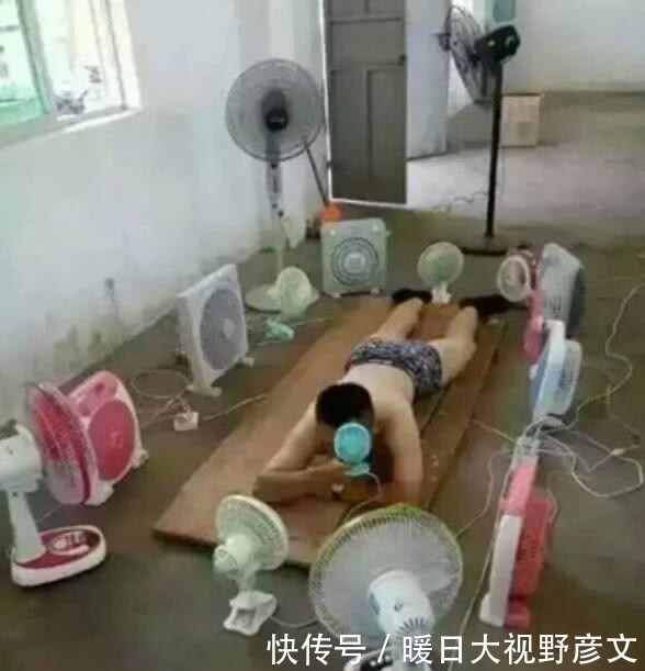 GIF|爆笑GIF: 大哥, 你们公司还缺程序员吗? 不知道俺现在去学, 还来得急不?