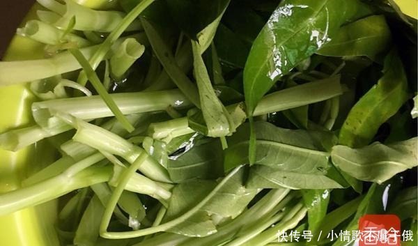  卖出|这食材在美国卖出高价，在国内却随处可见，口感嫩，营养高