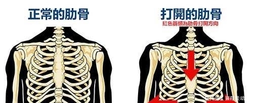 刑罚|秦朝刑法有多严峻，死刑种类非常多，都很残忍