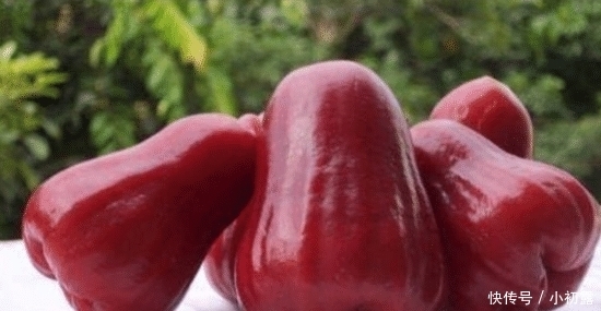 太坑人|“最坑人”的4种水果，买的人还很多，全吃过的都是“土豪”！