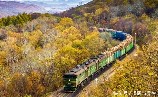 完蛋|俄罗斯和苏联的命脉是什么 为何斯大林说 没有它苏联要完蛋