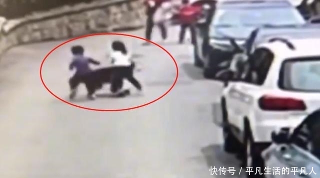  相依为命|哈士奇扑向小孩连续咬伤4人！主人就站在一旁，狗主人：这条狗跟我相依为命