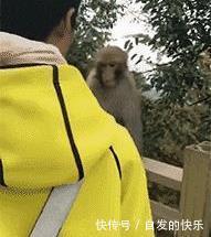 我爱你|世界上最动人的三个字不是“我爱你”，其实现在是……笑喷了！