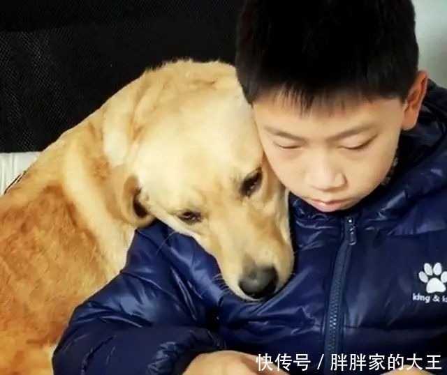  打开|狗狗突然没了动静，打开儿子房间看到这一幕笑喷了，狗头军师吗