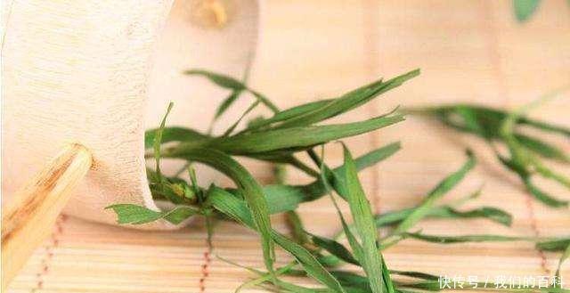 从此|一种叶子堪称“口臭天敌”, 泡水喝, 火气降了, 从此无口臭