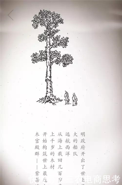 家具|带您了解一下木材