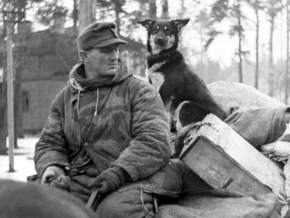 日本|一个俄罗斯大兵,偷走了9个日本女战俘,并且带她们躲进了深山