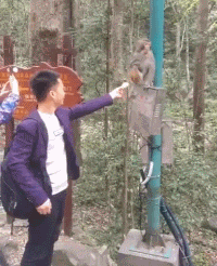 段子|搞笑GIF段子：老婆，你这笑容我看发慌，有啥你就直说吧