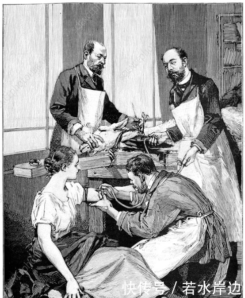  血液里|人类输血的起源：把小牛血输入疯子体内，希望他不再发疯变温柔