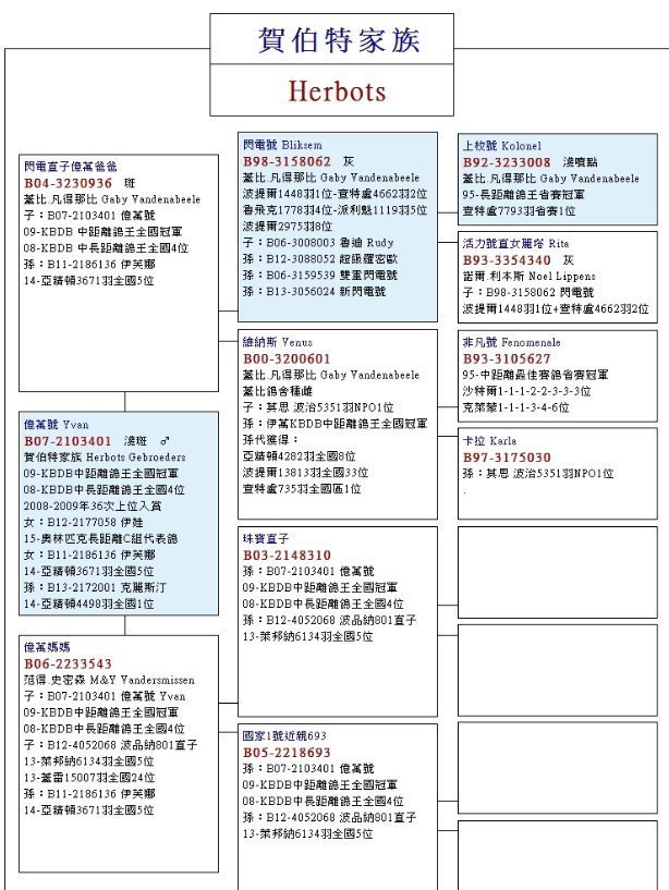 闪电|这可能是关于盖比大名鸽闪电号“前世今生”最齐全的资料