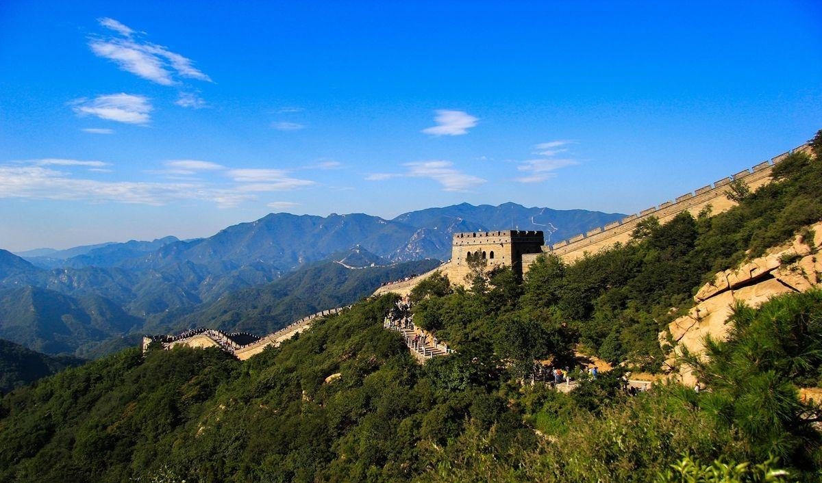 敌机|天天说数据链,到底什么是军用数据链