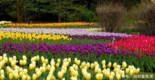  钞票|9月上旬，开门大吉，富贵难挡，横财大奖连续发，钞票堆成山生肖